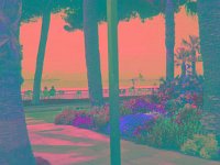 IMGP2740 edited (Medium)